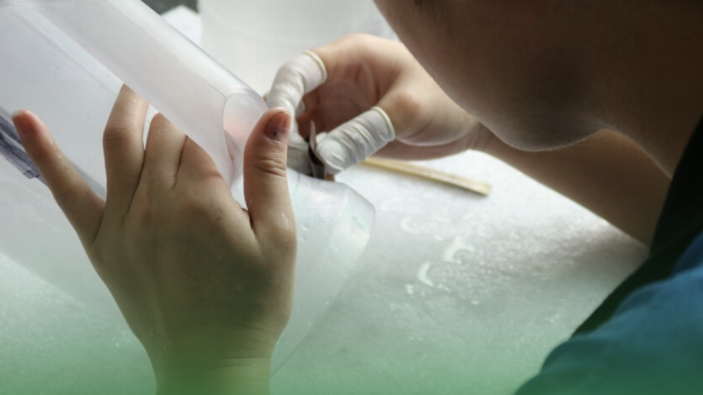 Surface treatment of plastic parts according to customer's requirements